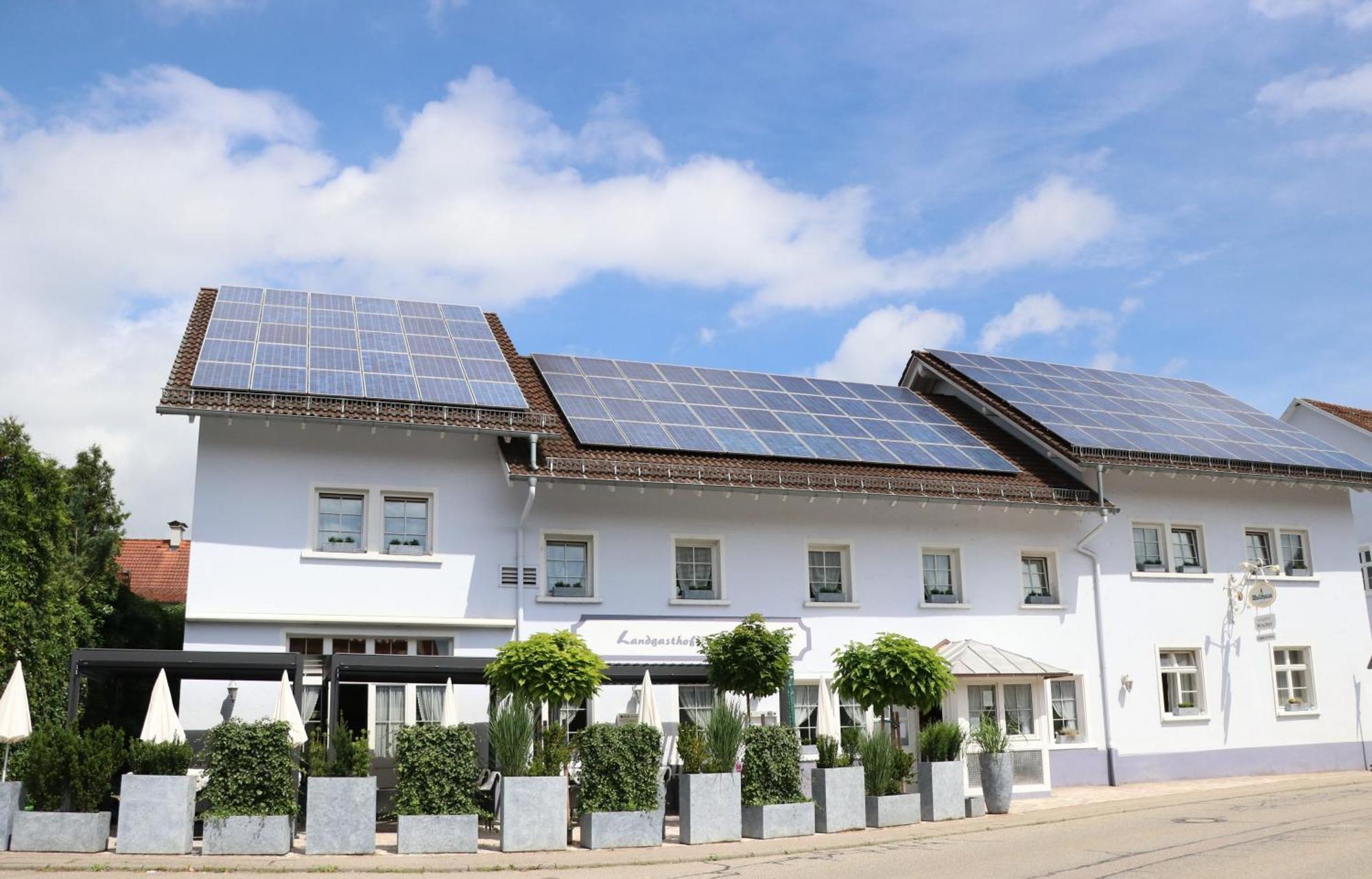 Landgasthof Hirschen Hohentengen am Hochrhein Экстерьер фото